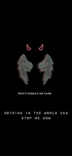 two wings with the words don't forget my name nothing in the world can stop me now