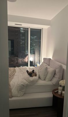 a small dog laying on top of a bed in a bedroom next to a window