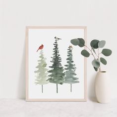 a watercolor painting of pine trees with a cardinal perched on one tree and another bird in the background