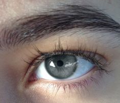 the eye of a person with brown eyes