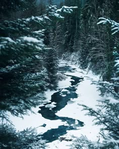 a stream running through a snow covered forest