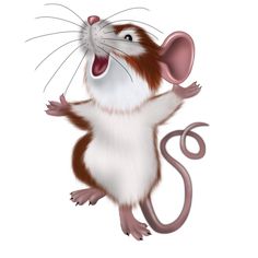 a brown and white rat standing on its hind legs with it's mouth open