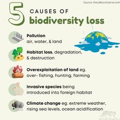 5 Causes of Biodiversity Loss Infographic Environmental Science Lessons, Science Club, Habitat Destruction, Teacher Boards, Invasive Species