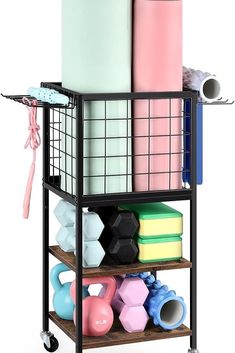 a rack with several different colored dumbs and exercise balls on it's wheels