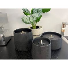 three candles sitting on top of a table next to a potted plant and candle holder