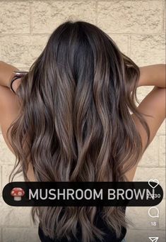 Chocolate Brown With Money Piece, Brown With Money Piece, Shades Of Brown Hair Color, Coffee Hair Color, Shades Of Brown Hair, Light Ash Brown Hair, Brown Hair Color Shades, Baby Lights, Coffee Hair