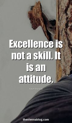 a person standing next to a tree with the words excellence is not a skill it is an attitude