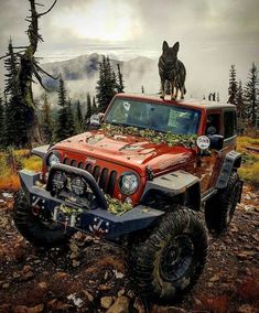 a dog standing on top of a red jeep in the woods with trees and rocks