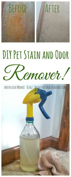 the before and after pictures show how to remove stains from carpet with this diy pet stain and odor remover