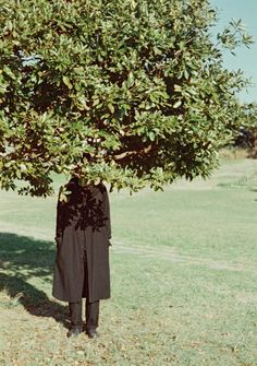 a person standing under a tree in the grass