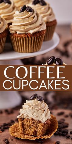 coffee cupcakes with frosting and chocolate chips on top