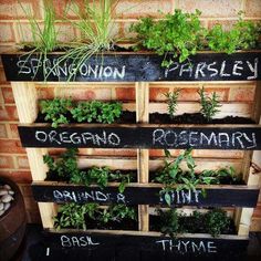 an outdoor herb garden made out of wooden pallets with chalk writing on the sides