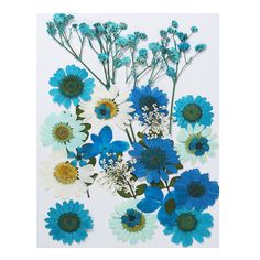 blue and white flowers are arranged on a white background