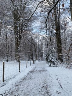 a snow covered path in the woods with trees and fenced in area behind it