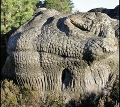 an elephant's head carved into the side of a large rock in a forest