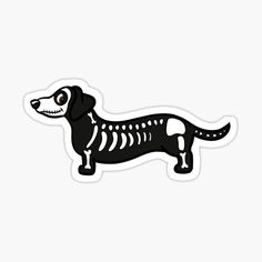 a black and white dachshund skeleton sticker