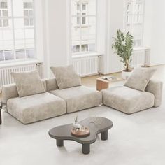 a living room with two couches and a coffee table