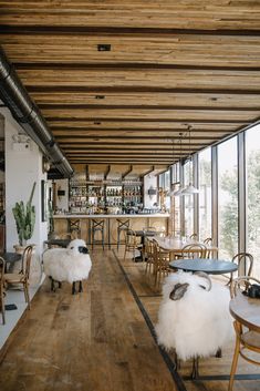 two sheep are standing in the middle of a room with tables and chairs, while another sheep is on the other side of the room