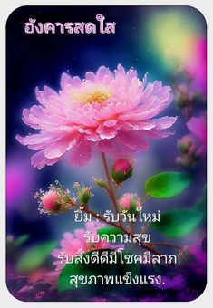 a pink flower sitting on top of a green leaf covered field with words written in thai