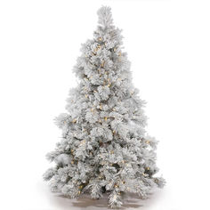 a white christmas tree with lights and snow on the branches, against a white background