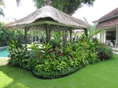 a gazebo surrounded by lush green plants next to a swimming pool