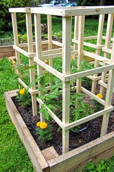 a wooden structure with plants growing in it