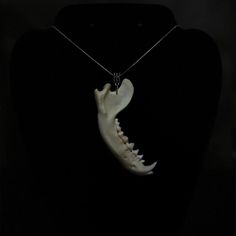 Raccoon jawbone necklace! 
Handmade on a 18 inch sliver snake chain! 

#oddities #bones #goth #grunge #punk Bone Jewelry, Jaw Bone, Shell Crafts, Grunge Punk, Accessories Jewelry Necklace, Goth Grunge, Necklace Handmade, Women Accessories Jewelry, Snake Chain