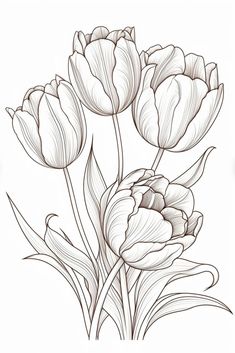 Tulip Flower Drawing, Flower Sketch Pencil, Printable Drawings, Doodle Practice, Art Topics, Tulip Drawing, Printable Flower Coloring Pages, Draw Tutorial, Pencil Drawings Of Flowers