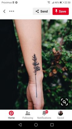 a person's hand with a small tree tattoo on it