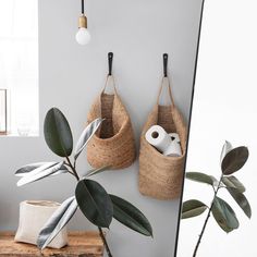 two baskets are hanging on the wall next to a mirror and a plant in front of it