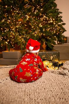 a small stuffed animal wearing a santa hat sitting on the floor next to a christmas tree