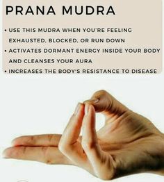 Lotus Position Yoga, Hand Mantras, Mudras Hand, Prana Mudra, Healing Reflexology, Yoga Mudra, Yoga Mudras, Hand Mudras, Yoga Facts