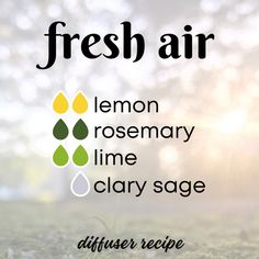 Scentsy Oils, Diy Fragrance, Eo Blends, Writing Reference, Air Diffuser, Diffuser Blend, Scrub Recipe, Diy Essential Oils