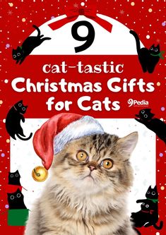 9 Cat-tastic Christmas Gifts for Cats You Can Buy Online #christmas #christmasgifts #catgift #catgifts #cats #christmascat #christmascatgifts #funnycatgifts #giftsforcats Chihuahua Puppies