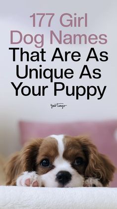 Good Names For Dogs, Cute Puppies Names, Dog Names Girl List, Cute Dog Names Female Unique, Puppy Names Aesthetic, Pretty Names For Dogs, Cute Unique Dog Names, Cutest Puppy Names, Names For Dogs Unique