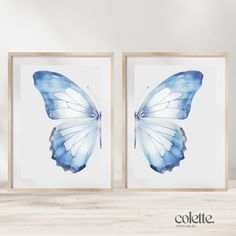 two framed pictures with blue butterflies on them, one is white and the other is light blue