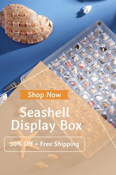 seashell display box with 30 % off + free shipping for purchase from the shop now