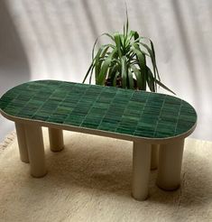 a table with a plant in it sitting on top of a carpeted floor next to a white wall