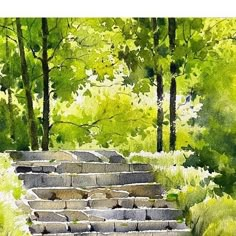 watercolor painting of steps in the woods