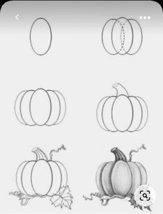 the steps to draw pumpkins