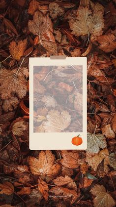 an orange pumpkin sitting on top of leaves in the ground with a square frame over it