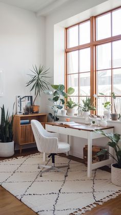 an office with plants and potted plants on the desk in front of large windows