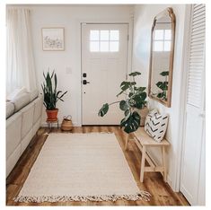 a living room filled with furniture and plants