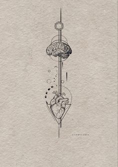 an ink drawing of a human heart and brain