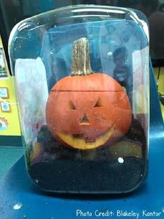 an orange pumpkin in a glass case