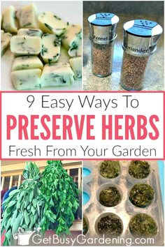 several different herbs in containers with text overlay that reads 9 easy ways to preserve herbs fresh from your garden