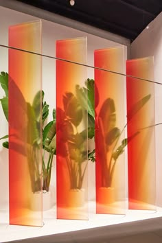 three vases with plants in them sitting on a shelf next to eachother