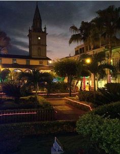 the clock tower is lit up at night in front of some palm trees and buildings