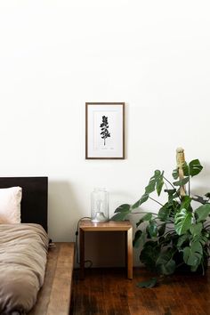 a bed sitting next to a green plant on top of a wooden floor