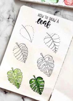 an open notebook with leaves drawn on it and the words how to draw a leaf